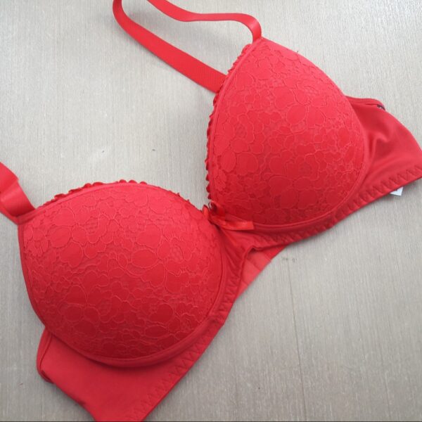 Sutiã Plus Size Com Bojo Renda e Laterais em Microfibra - Imagem 5