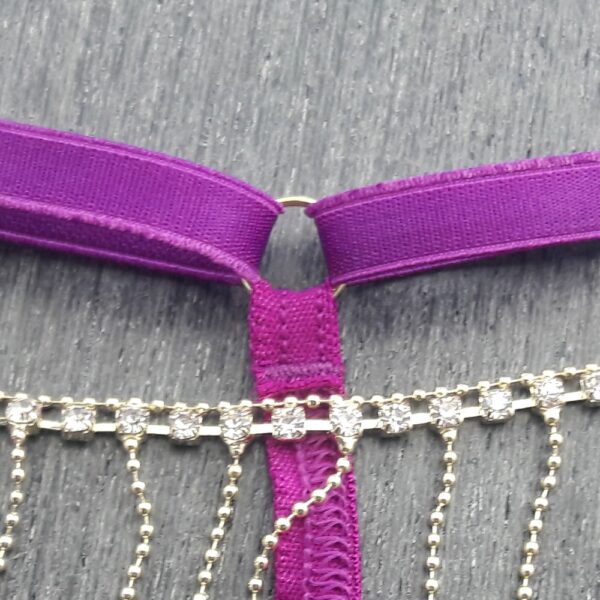 Calcinha Fio Dental Sexy e Luxuosa com Bijuteria em Strass - Imagem 8